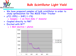Bulk Scintillator Light Yield