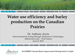 N-fixing plants - Brewing and Malting Barley Research Institute
