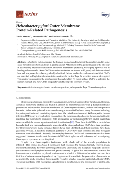 Helicobacter pylori Outer Membrane Protein-Related