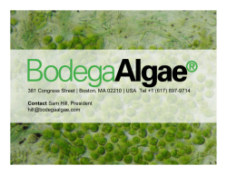 Bodega Algae LLC develops scalable continuous