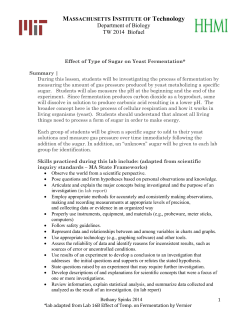 Fermentation