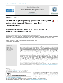 Estimation of gross primary production of irrigated maize using