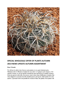 special wholesale offer of plants autumn 2014 news update autumn