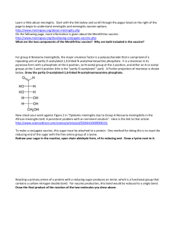 as word document for link access