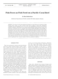 Fish Feces as Fish Food on a Pacific Coral Reef