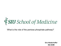 Pentose Phosphate Pathways