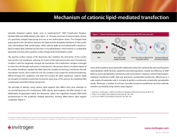 F-063727 Mechanism Cationic Lipid Mediated