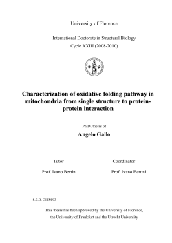 Characterization of oxidative folding pathway in mitochondria from