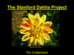 The Stanford Dahlia Project