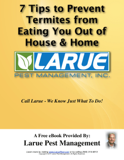 7 Tips to Prevent Termites from Eating You Out of House and Home