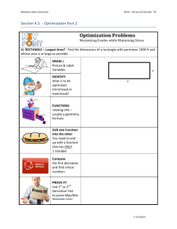 Optimization Problems - Montana State University