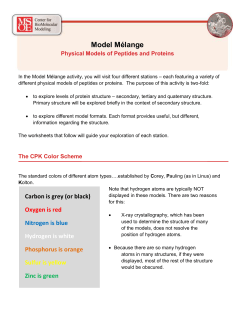 Model Melange - Physical Models of Peptides and Proteins ()