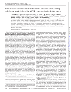 Benzimidazole derivative small-molecule 991 enhances AMPK