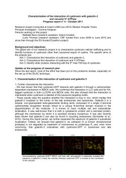 Characterization of cystinosin intracellular trafficking