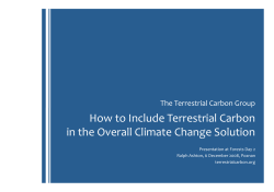 how to include terrestrial carbon in the overall climate change solution