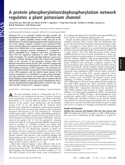 A protein phosphorylation/dephosphorylation network