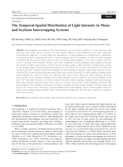 The Temporal-Spatial Distribution of Light Intensity in Maize and