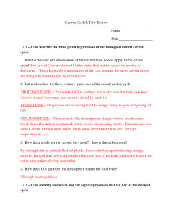 Carbon Cycle Review Handout