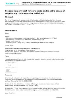 Preparation of yeast mitochondria and in vitro assay of respiratory