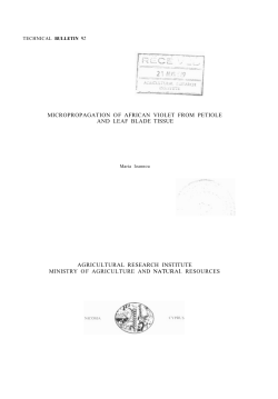 Ioannou, Maria. 1987. Micropropagation of African Violet from