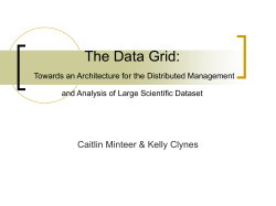 The Data Grid: Towards an Architecture for the Distributed