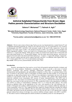 Antiviral Sulphated Polysaccharide from Brown Algae Padina