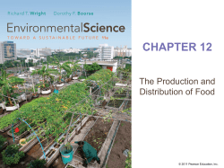 Patterns of food production