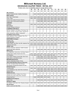 Field Deciduous Tree List