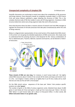 Unexpected complexity of simplest life