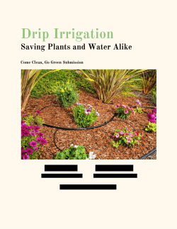Drip Irrigation - Lewis University