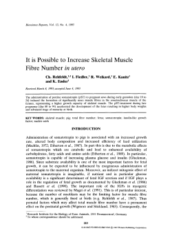 It is possible to increase skeletal muscle fibre number <Emphasis