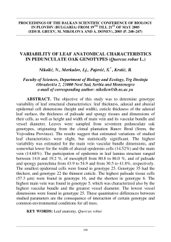 VARIABILITY OF LEAF ANATOMICAL CHARACTERISTICS IN