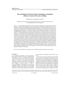 The contribution of lateral rooting to phosphorus