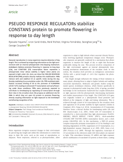 PSEUDO RESPONSE REGULATORs stabilize CONSTANS protein
