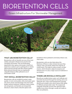 bioretention cells