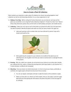 How to Create a Plant ID Collection
