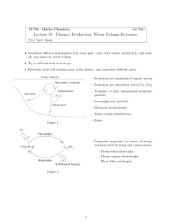 Lecture 13 - Primary Production: Water Column Processes
