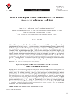 Effect of foliar applied kinetin and indole acetic acid on maize plants
