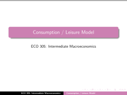 Consumption / Leisure Model