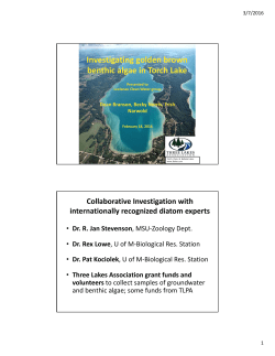Investigating golden brown benthic algae in Torch Lake