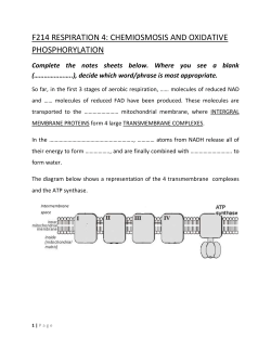 RESPIRATION 4- chemiosmosis and oxidative