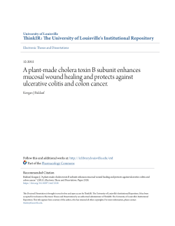 A plant-made cholera toxin B subunit enhances mucosal wound