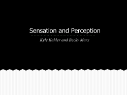 s and perception