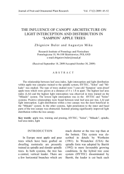 the influence of canopy architecture on light interception and