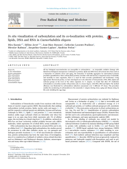 In situ visualization of carbonylation and its co