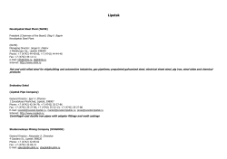 Lipetsk Novolipetsk Steel Plant (NLMK) President (Chairman of the