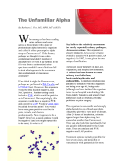 The Unfamiliar Alpha - Aerococcus urinae