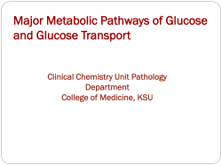 11-major metabolic pathways of glucose