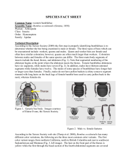 species fact sheet - USDA Forest Service