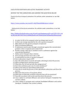 FACILITATED DIFFUSION AND ACTIVE TRANSPORT ACTIVITY